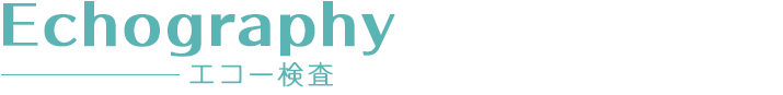 エコー検査