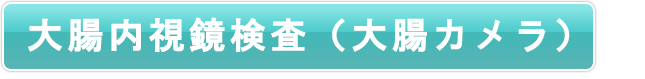大腸内視鏡検査(大腸カメラ)