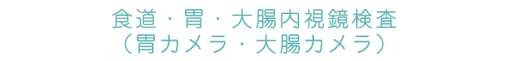 食道・胃・大腸内視鏡検査(胃カメラ・大腸カメラ)